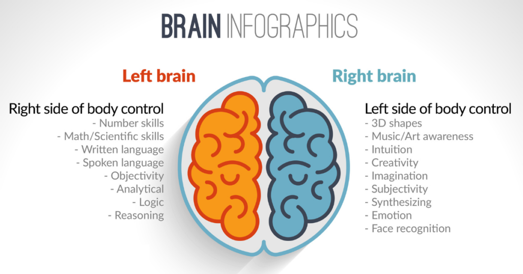 right left brain infographics LPE HCM